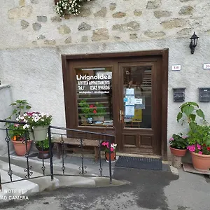 Idea Apartament